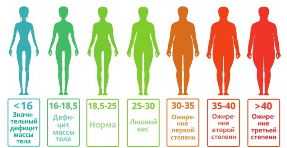 Сила мышц и способы ее измерения